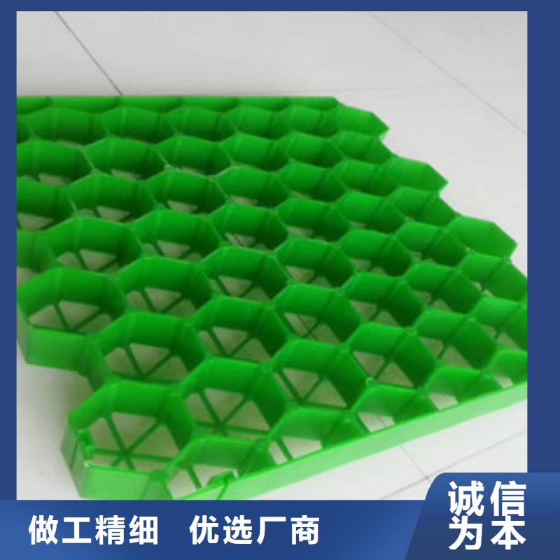 植草格排水板廠家一站式采購方便省心