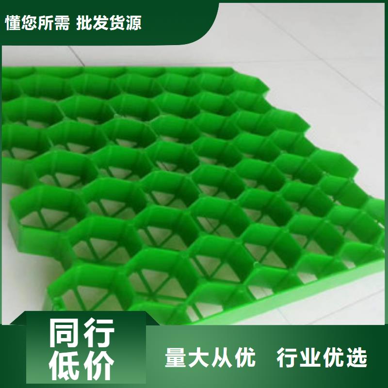 植草格-蓄排水板厂家精选货源