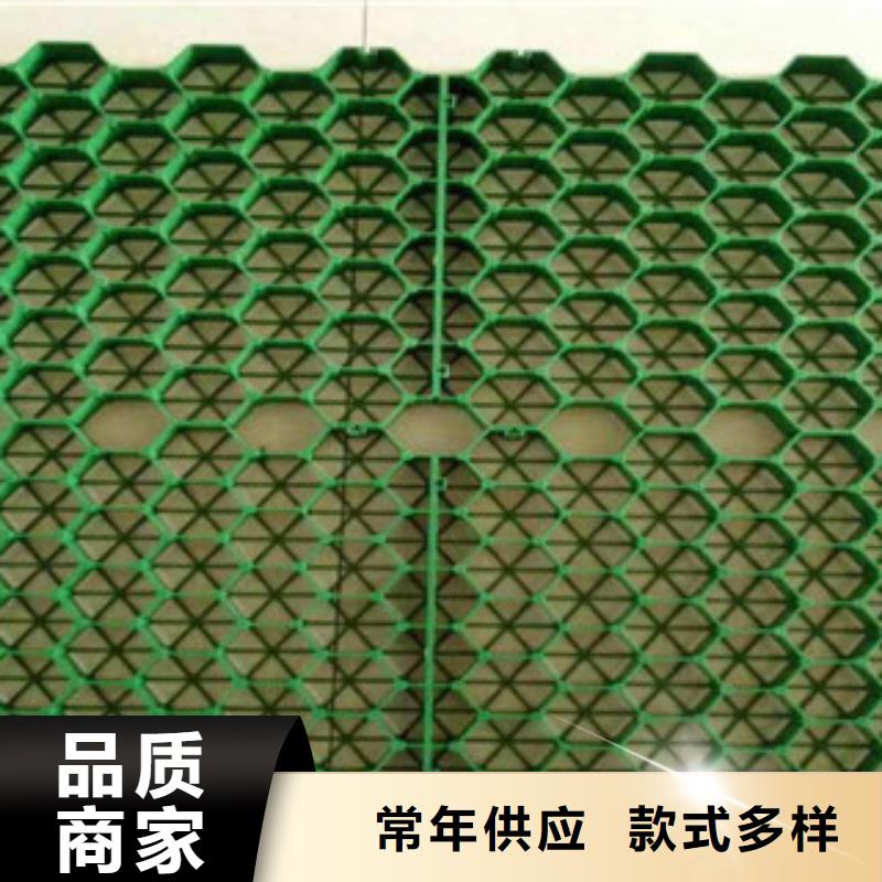 植草格-蓄排水板厂家精选货源
