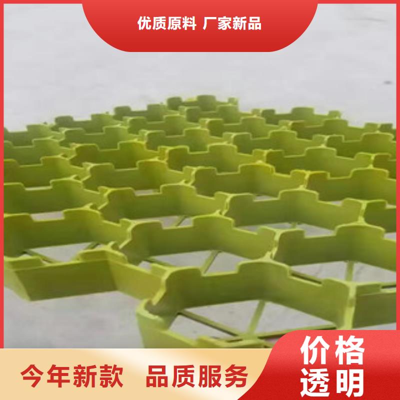 植草格排水板厂家品质不将就