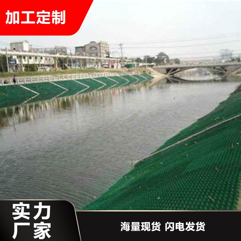 植草格排水板廠家嚴格把關(guān)質(zhì)量放心