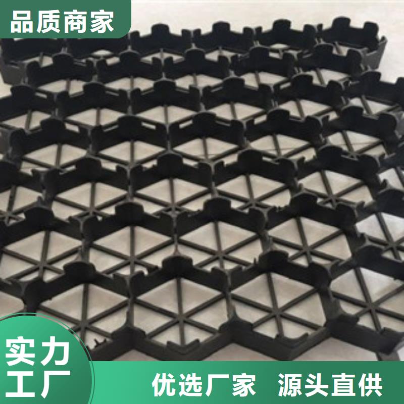植草格排水板廠家一站式采購方便省心