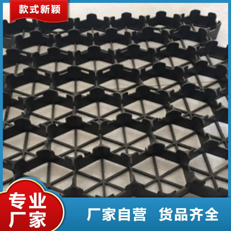 植草格土工膜厂家一站式采购商家