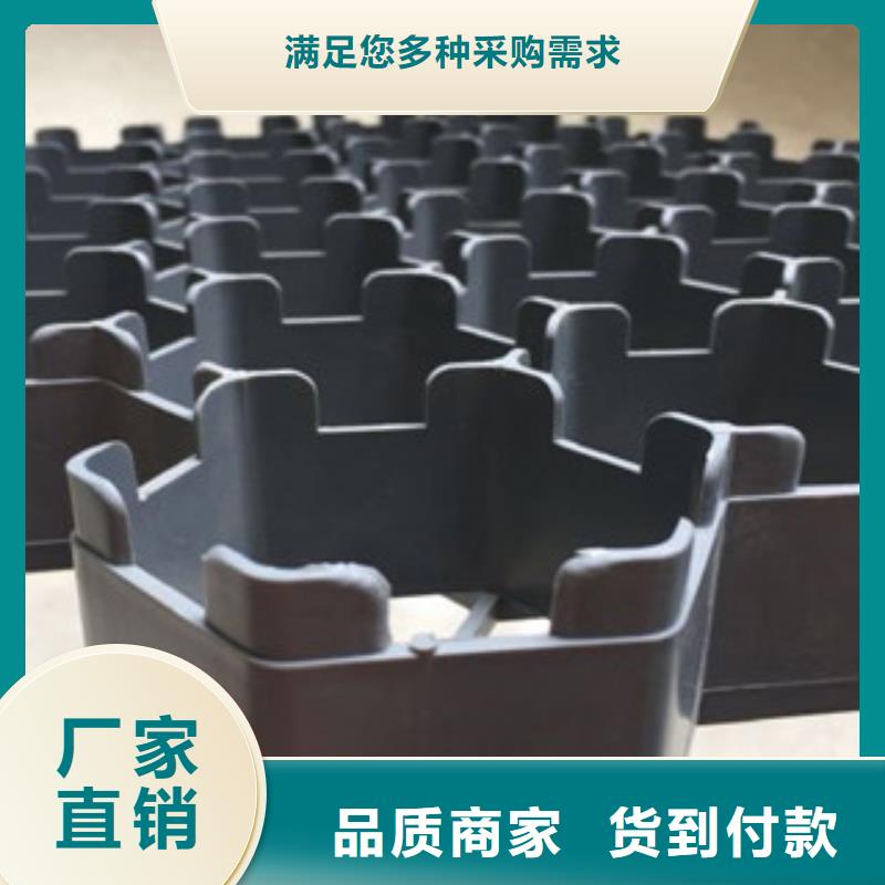 植草格排水板廠家一站式采購方便省心