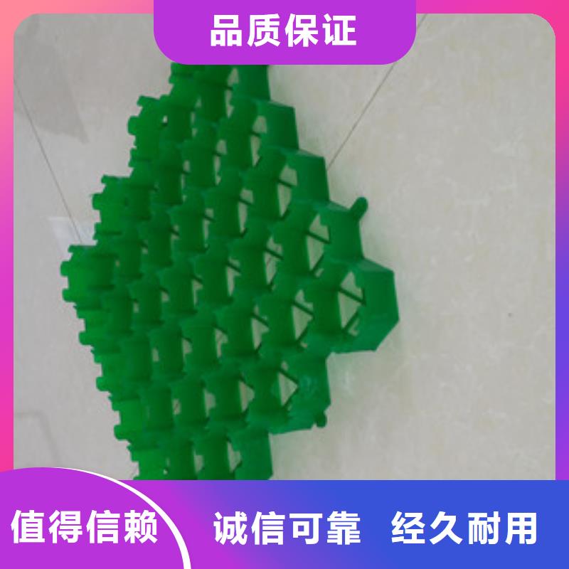植草格排水板廠家一站式采購方便省心