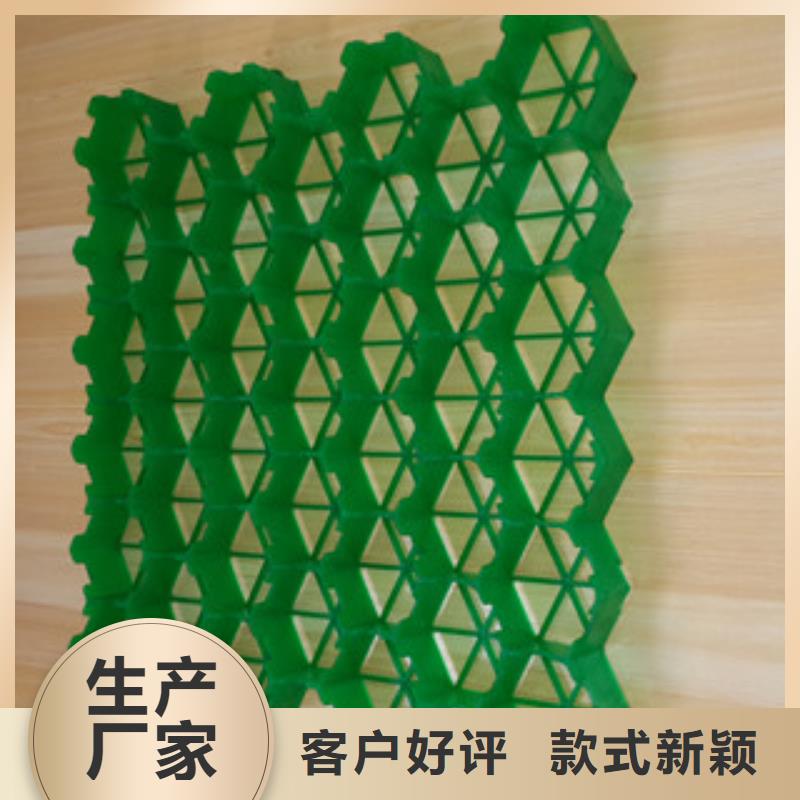 植草格排水板廠家一站式采購方便省心