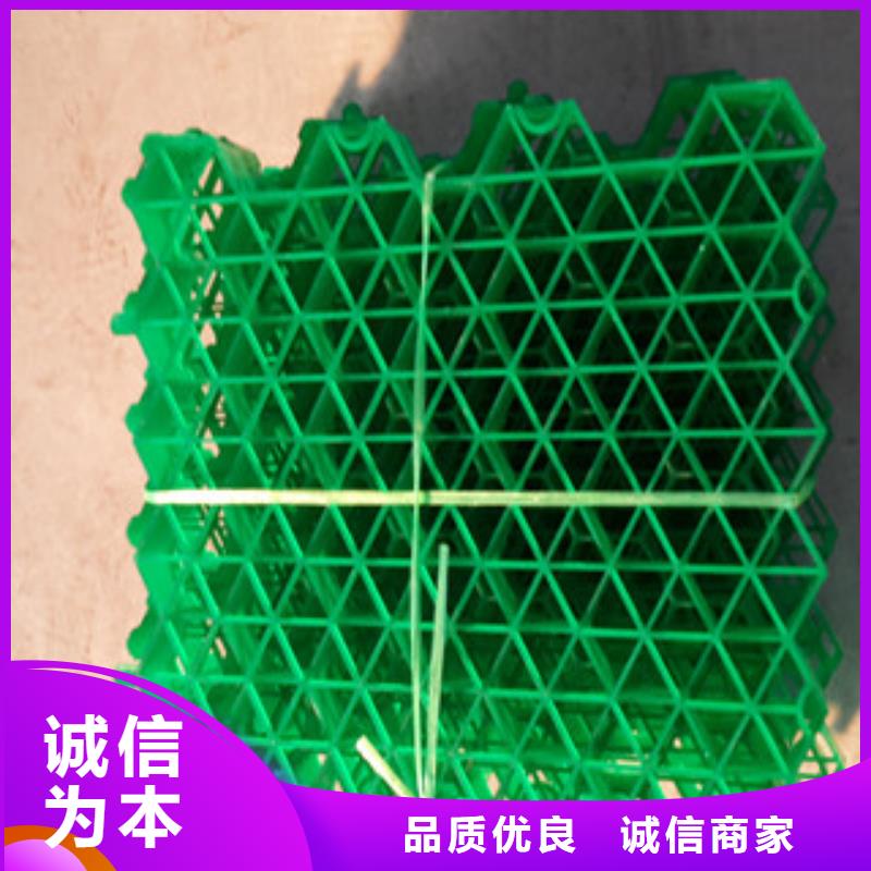 植草格排水板廠家一站式采購方便省心