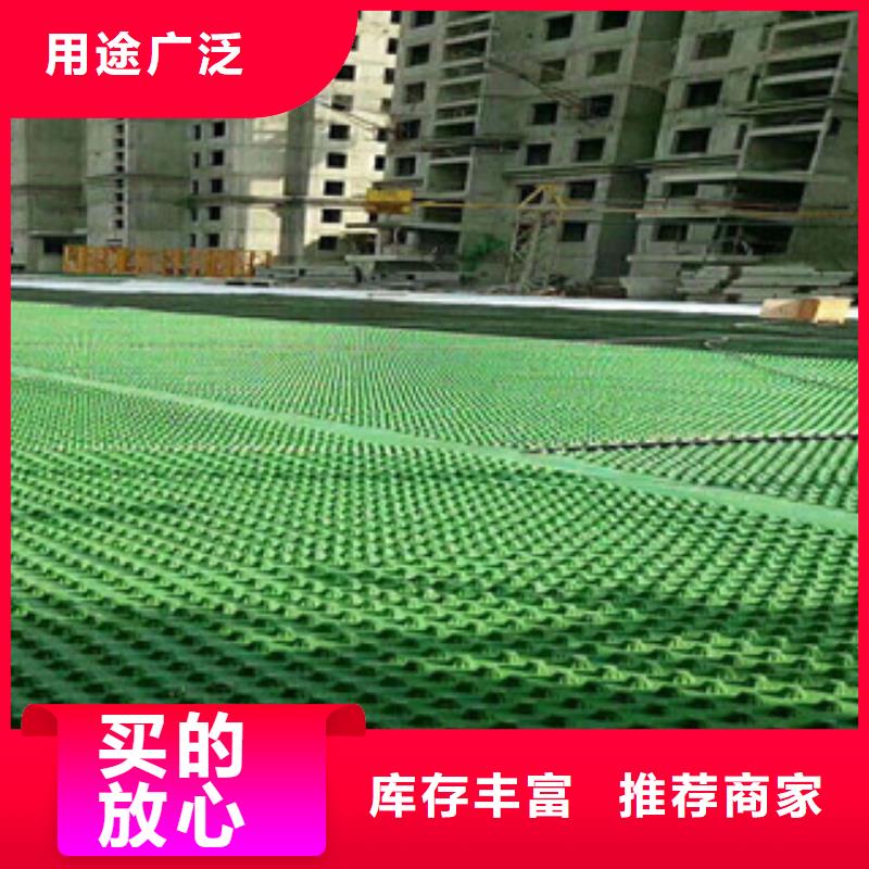 排水板,植草格厂家研发生产销售