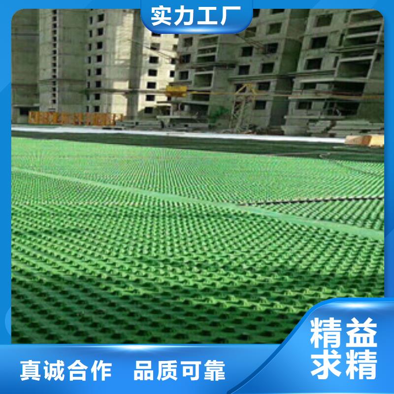 排水板-排水板厂家随心所欲定制
