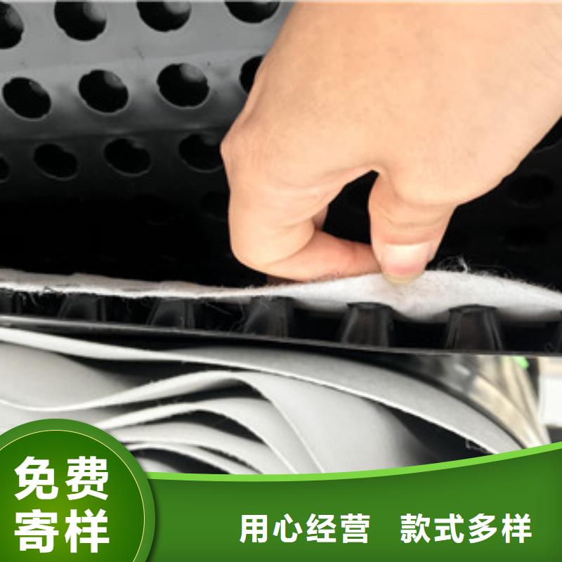 排水板土工膜廠家嚴(yán)選好貨