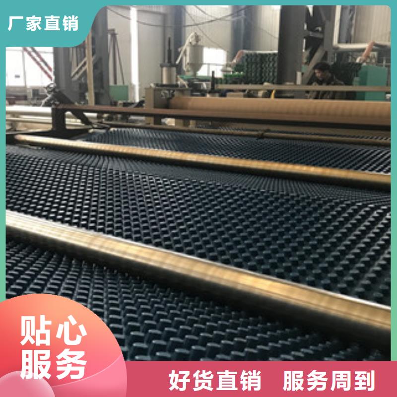 排水板蓄排水板廠家自有生產(chǎn)工廠