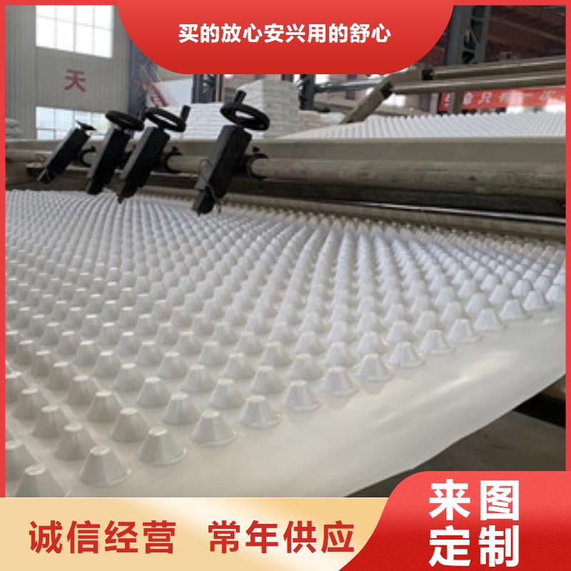 排水板植草格廠家源頭工廠量大優(yōu)惠