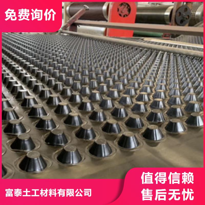 排水板植草格廠家聯(lián)系廠家