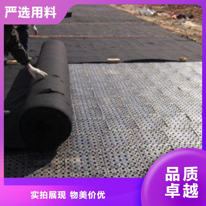 排水板植草格厂家现货快速采购