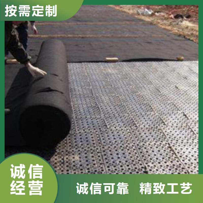 排水板排水板厂家一站式供应厂家