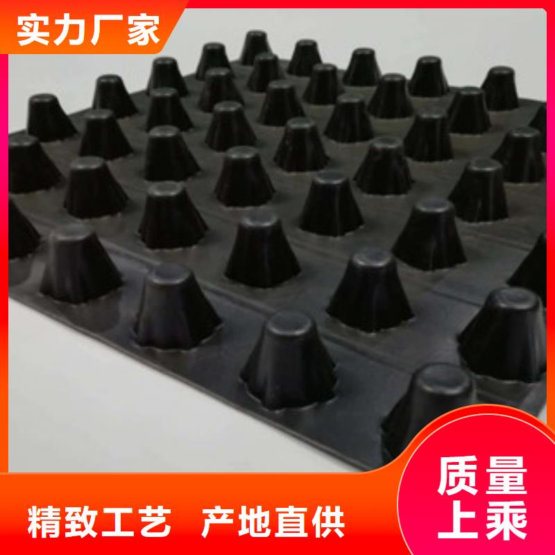 排水板,植草格厂家研发生产销售