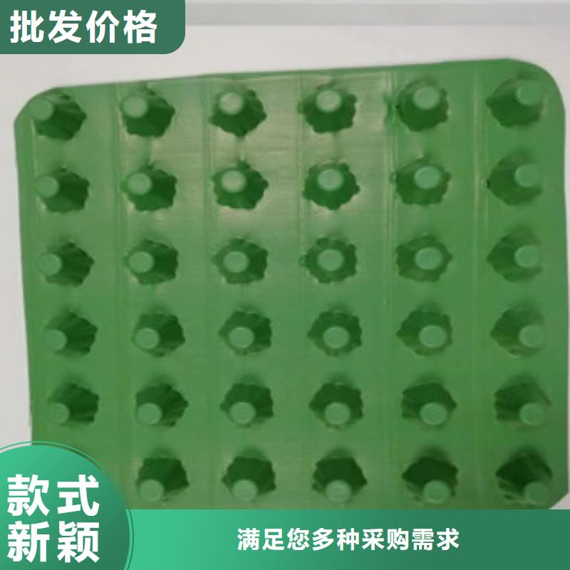 排水板,排水板厂家一站式供应厂家