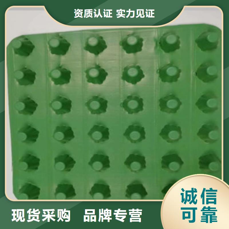 排水板植草格廠家聯(lián)系廠家