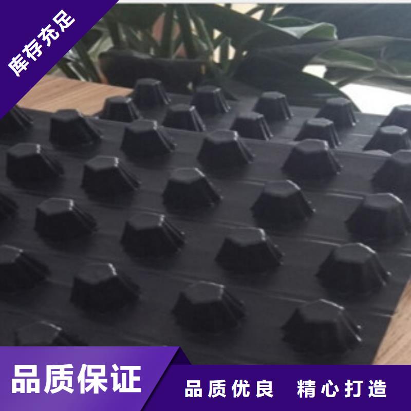 排水板排水板厂家一站式供应厂家
