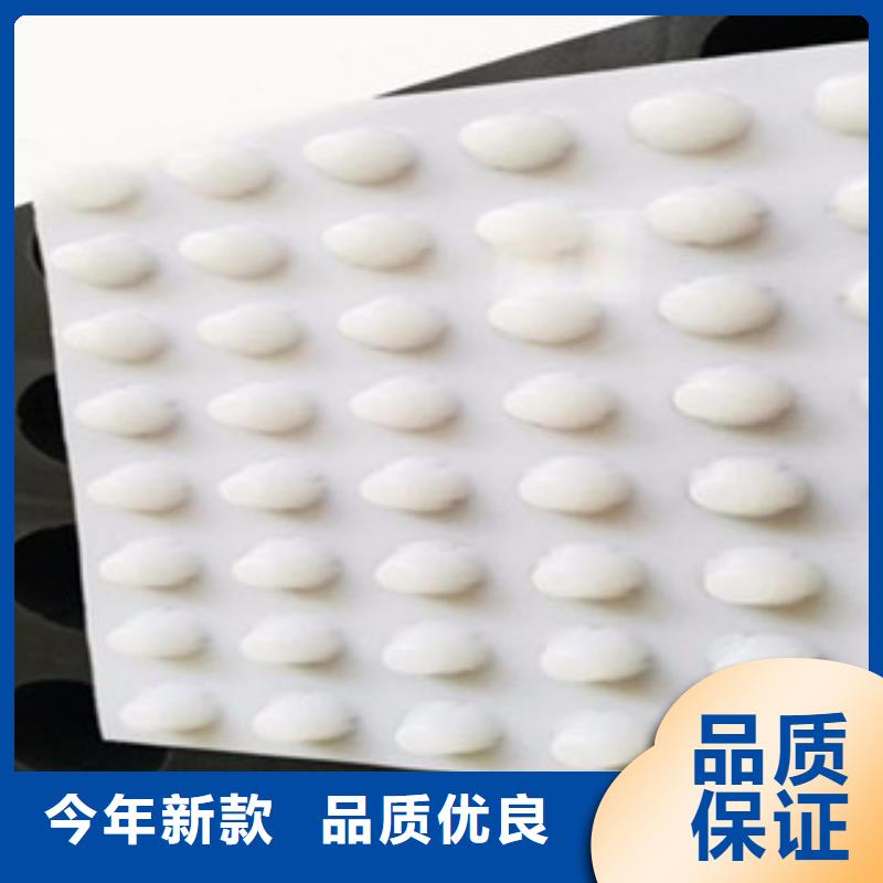 排水板植草格厂家现货快速采购
