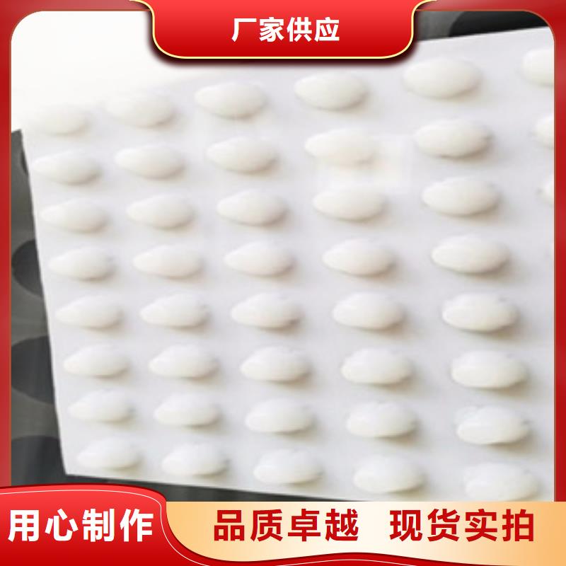 排水板植草格廠家精致工藝