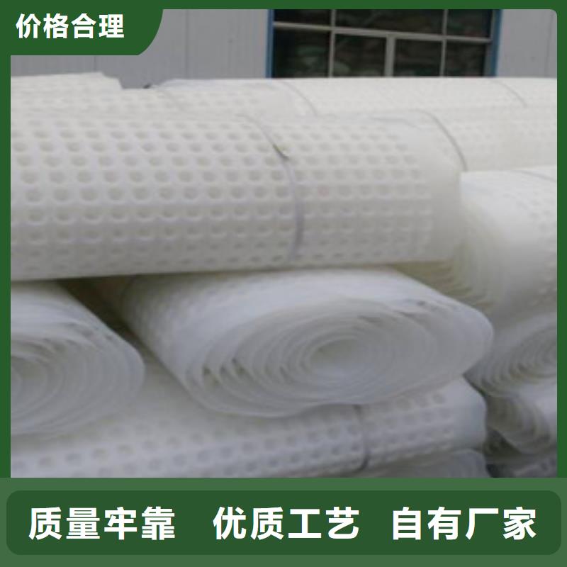排水板,植草格厂家研发生产销售