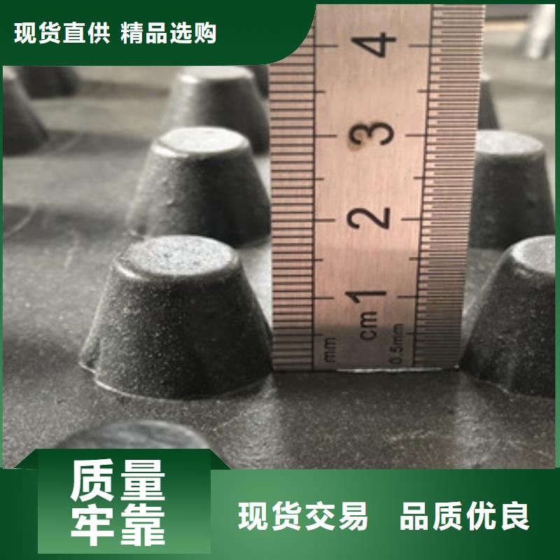 排水板-排水板厂家随心所欲定制