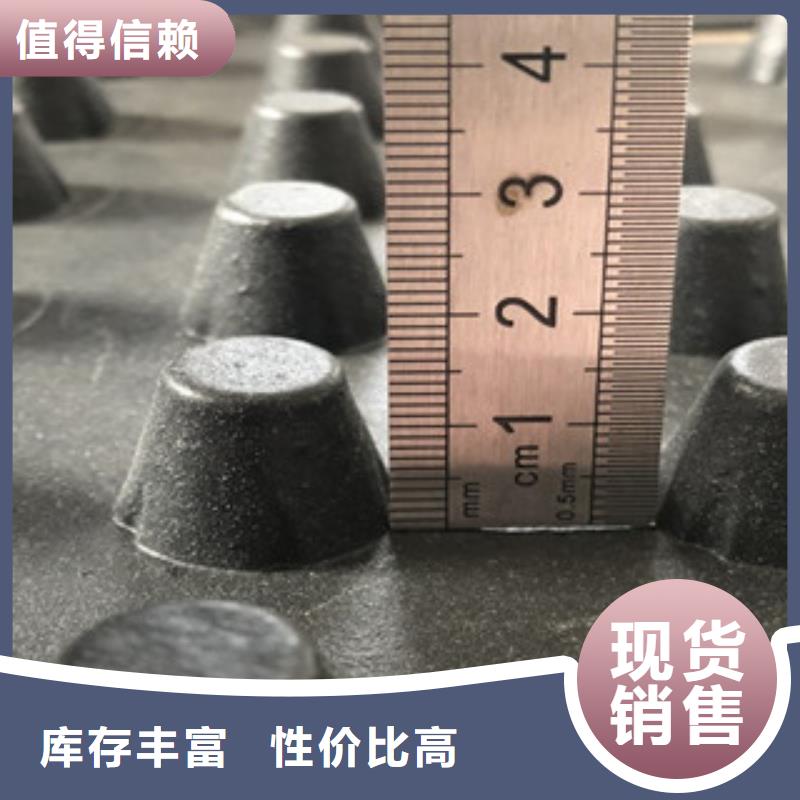 排水板排水板廠家一站式供應(yīng)廠家