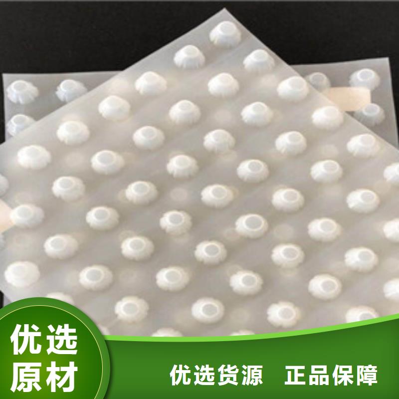 排水板土工膜厂家品质有保障