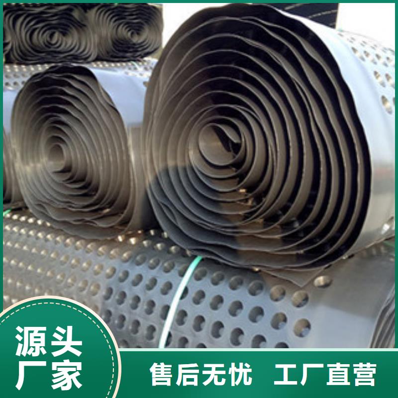 排水板排水板厂家一站式供应厂家