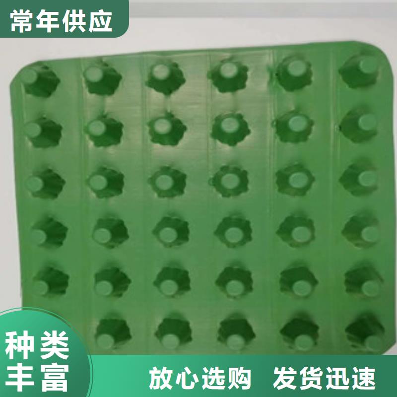 排水板-排水板廠家批發(fā)商