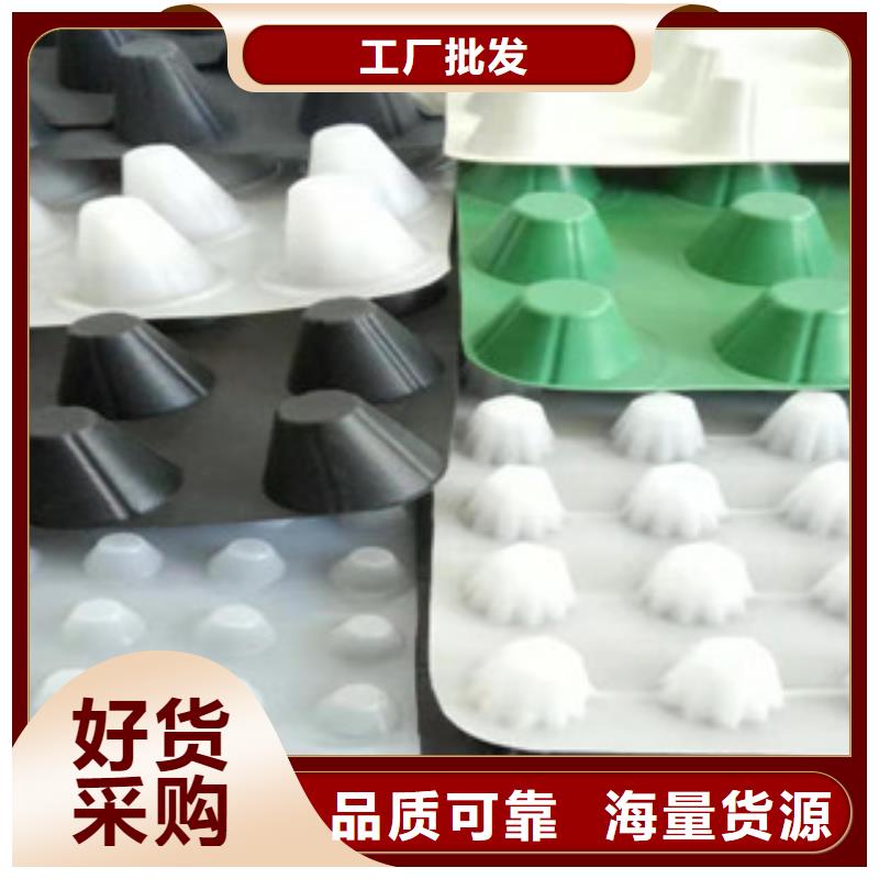 排水板-排水板廠家批發(fā)商