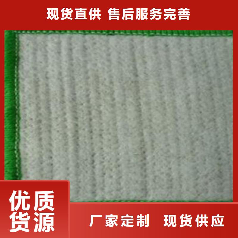 防水毯植草格廠家信譽(yù)有保證