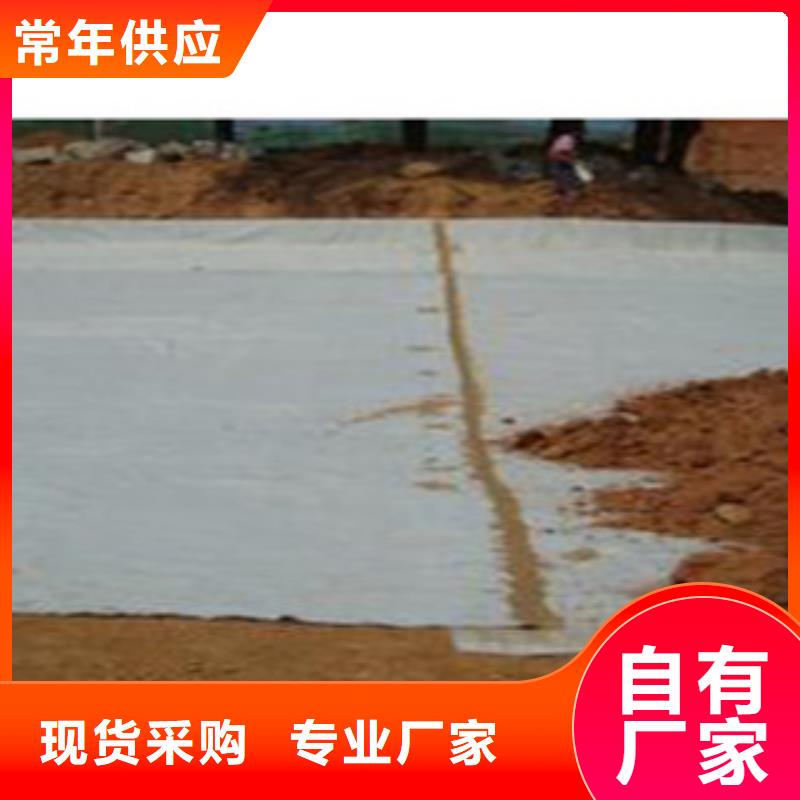 防水毯土工膜廠家精工細作品質(zhì)優(yōu)良