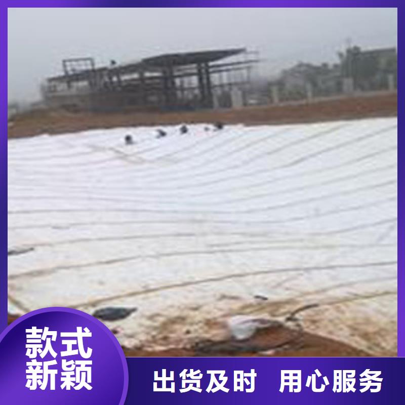 防水毯土工布厂家多种优势放心选择