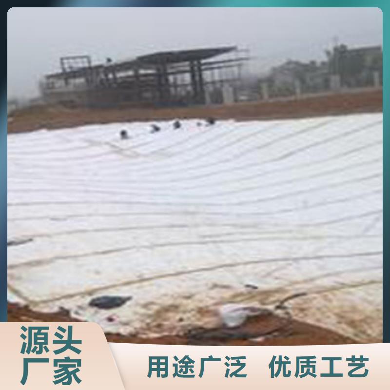 防水毯-土工布厂家厂家技术完善