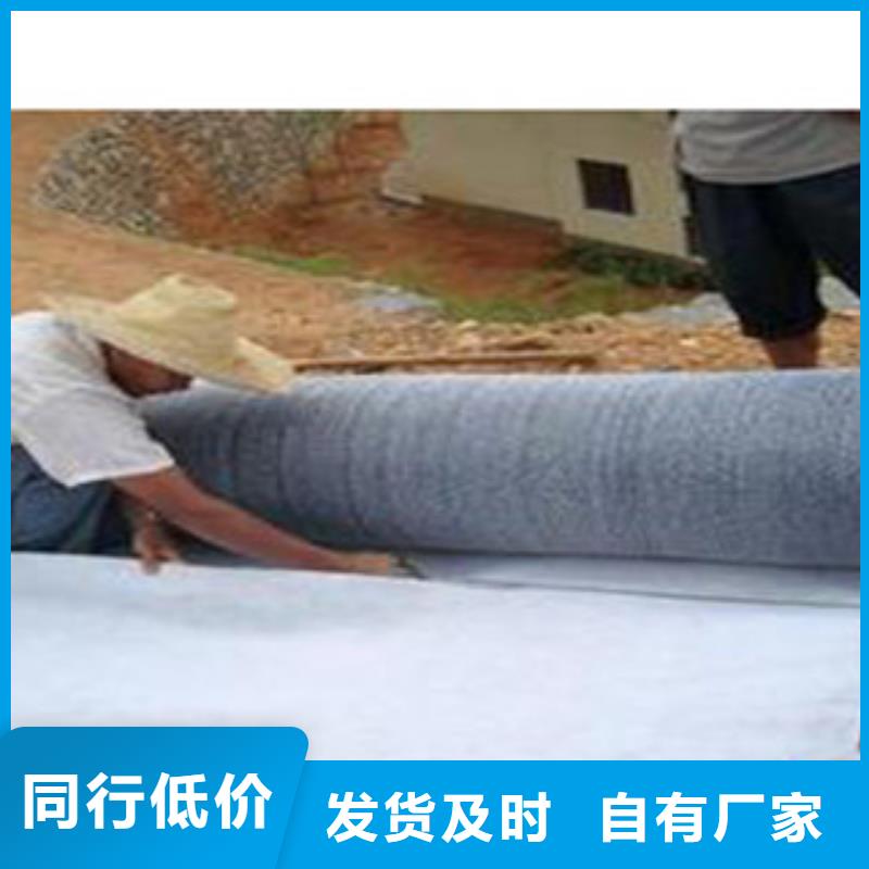 防水毯植草格廠家信譽(yù)有保證