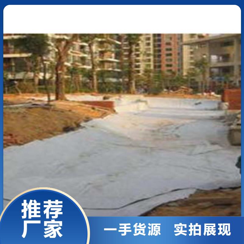 防水毯蓄排水板廠家工藝精細質(zhì)保長久