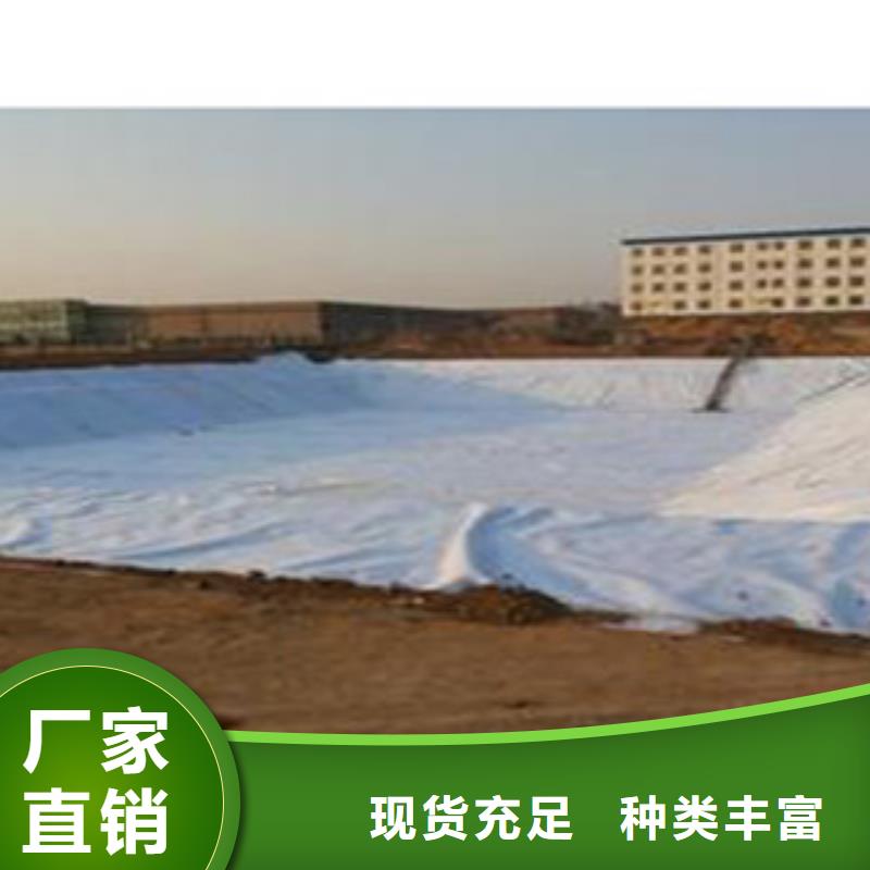 防水毯虹吸排水板厂家性价比高