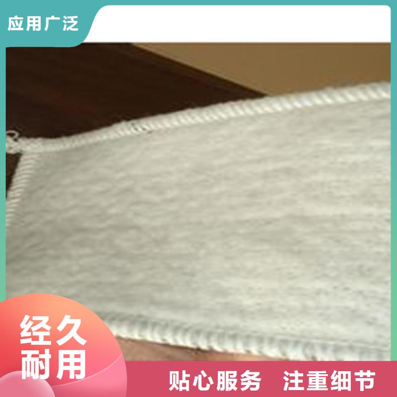 防水毯土工膜廠家精工細作品質(zhì)優(yōu)良