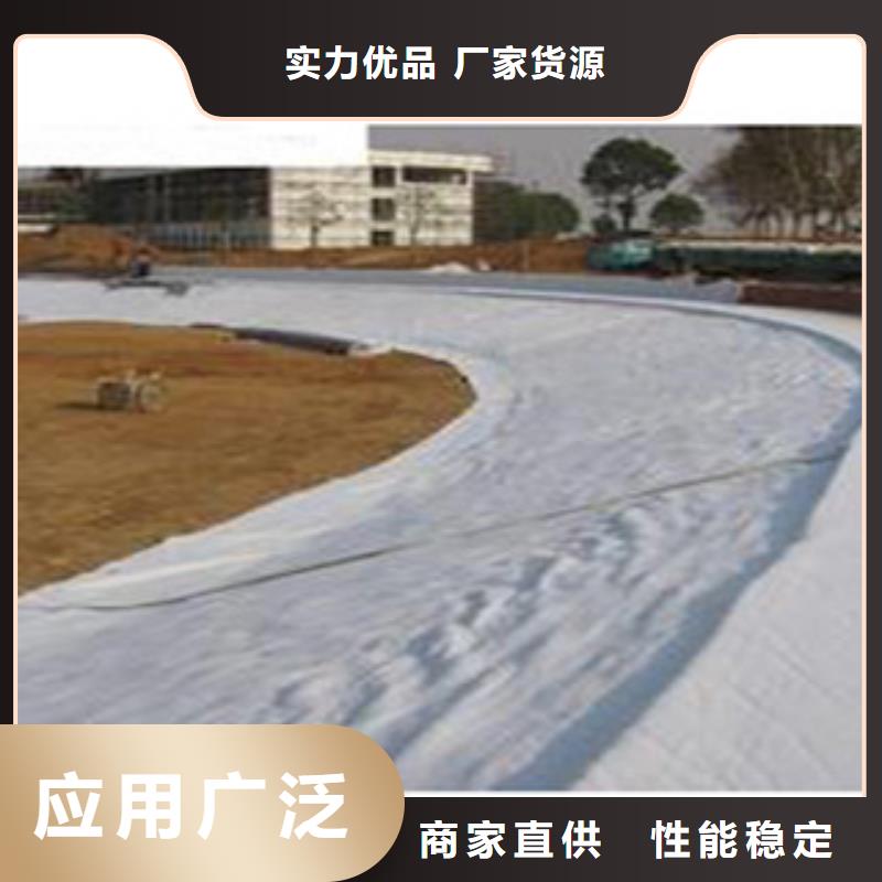 防水毯-土工布厂家厂家技术完善