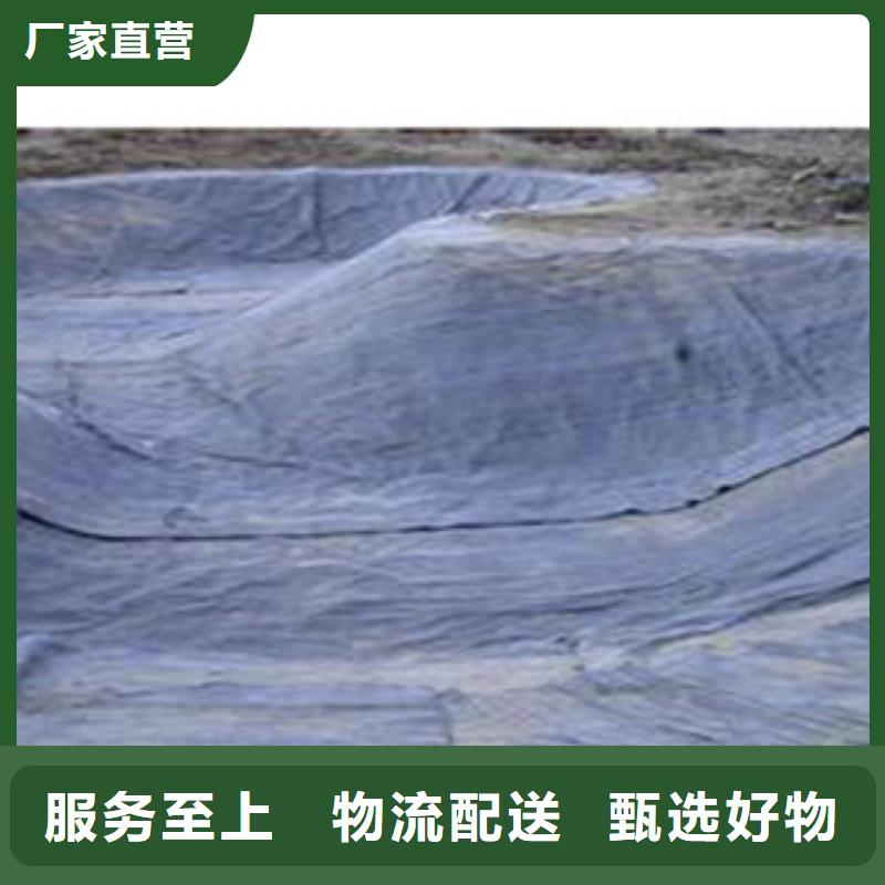 防水毯土工布廠家多種優(yōu)勢放心選擇
