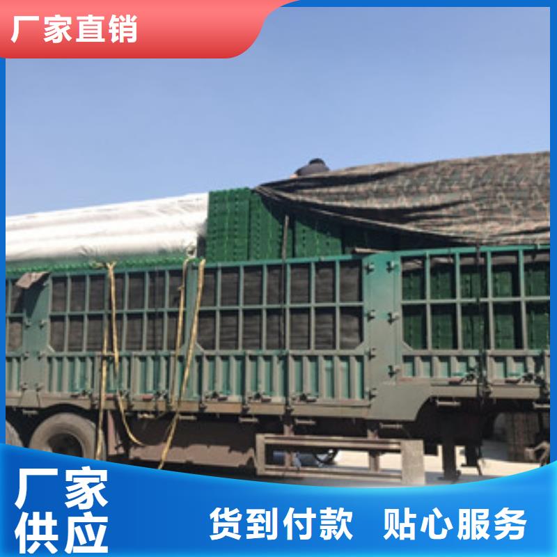 蓄排水板土工膜廠家工廠直供
