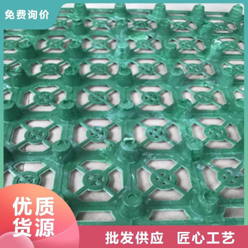 蓄排水板,土工膜厂家严选用料