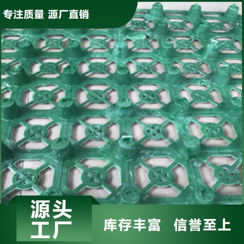 蓄排水板排水板廠家廠誠(chéng)信經(jīng)營(yíng)