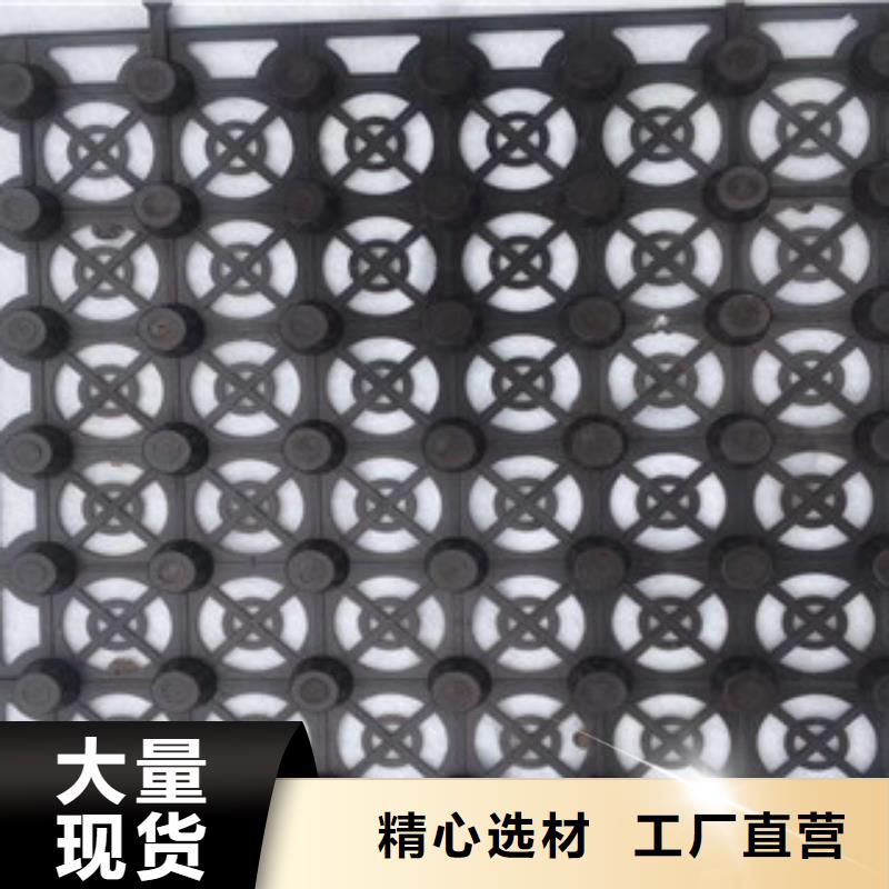 蓄排水板,土工膜廠家嚴(yán)選用料