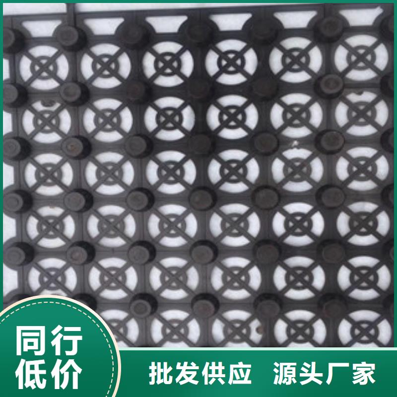蓄排水板植草格廠家打造好品質(zhì)