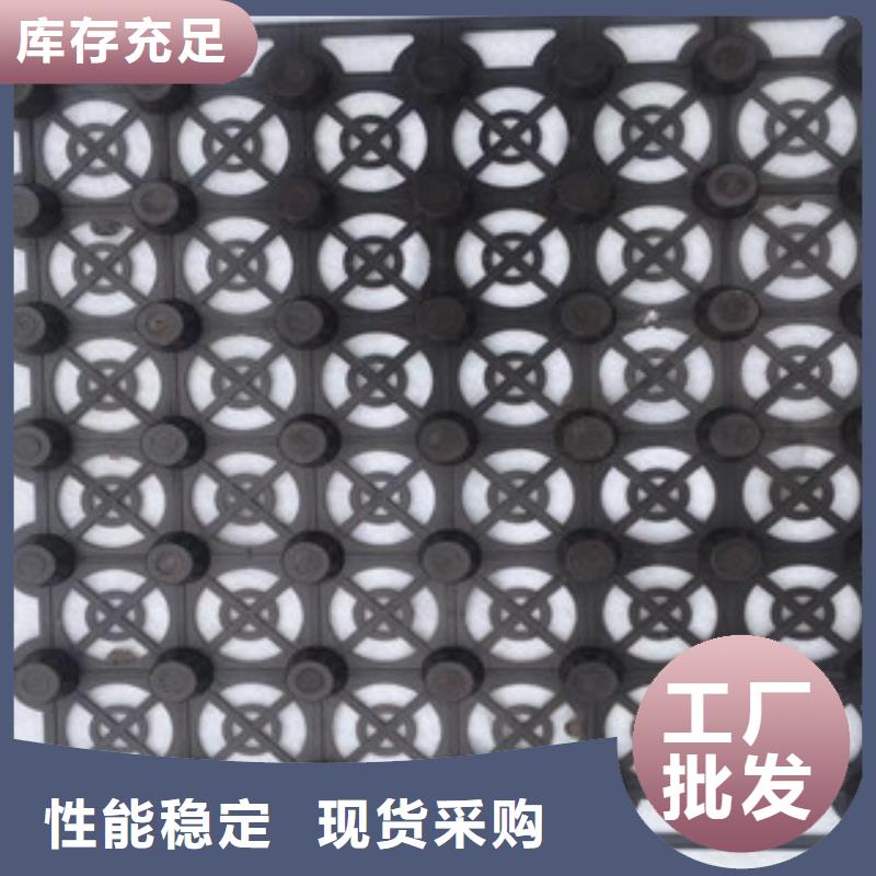 蓄排水板,土工膜厂家颜色尺寸款式定制