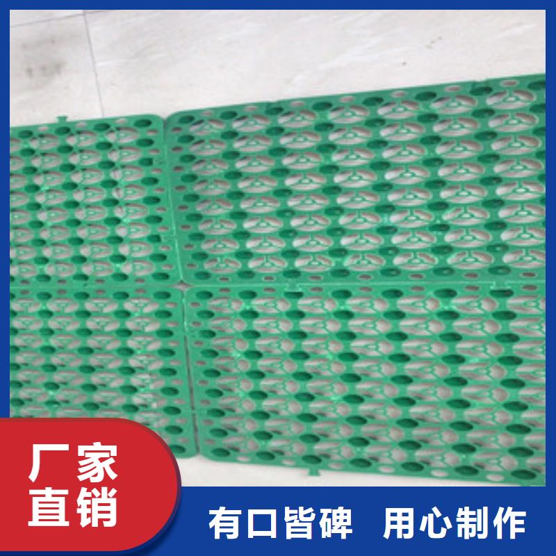 蓄排水板-土工布廠家質(zhì)量三包