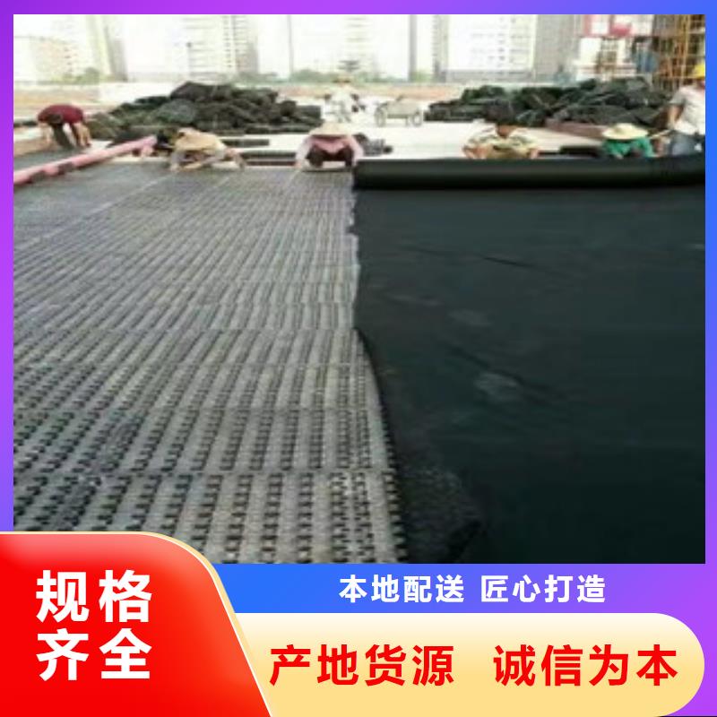 蓄排水板_植草格廠家大廠家實(shí)力看得見